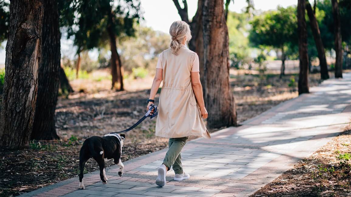 The Benefits of Walking – Trim Waistline, Improve Health, and Improve Posture