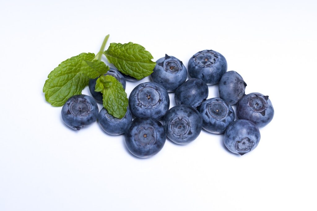 Superfoods - Blueberry