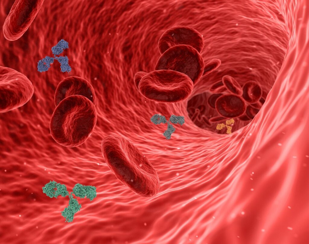 Maintaining proper blood volume and circulation - virus, pathogen, antibody