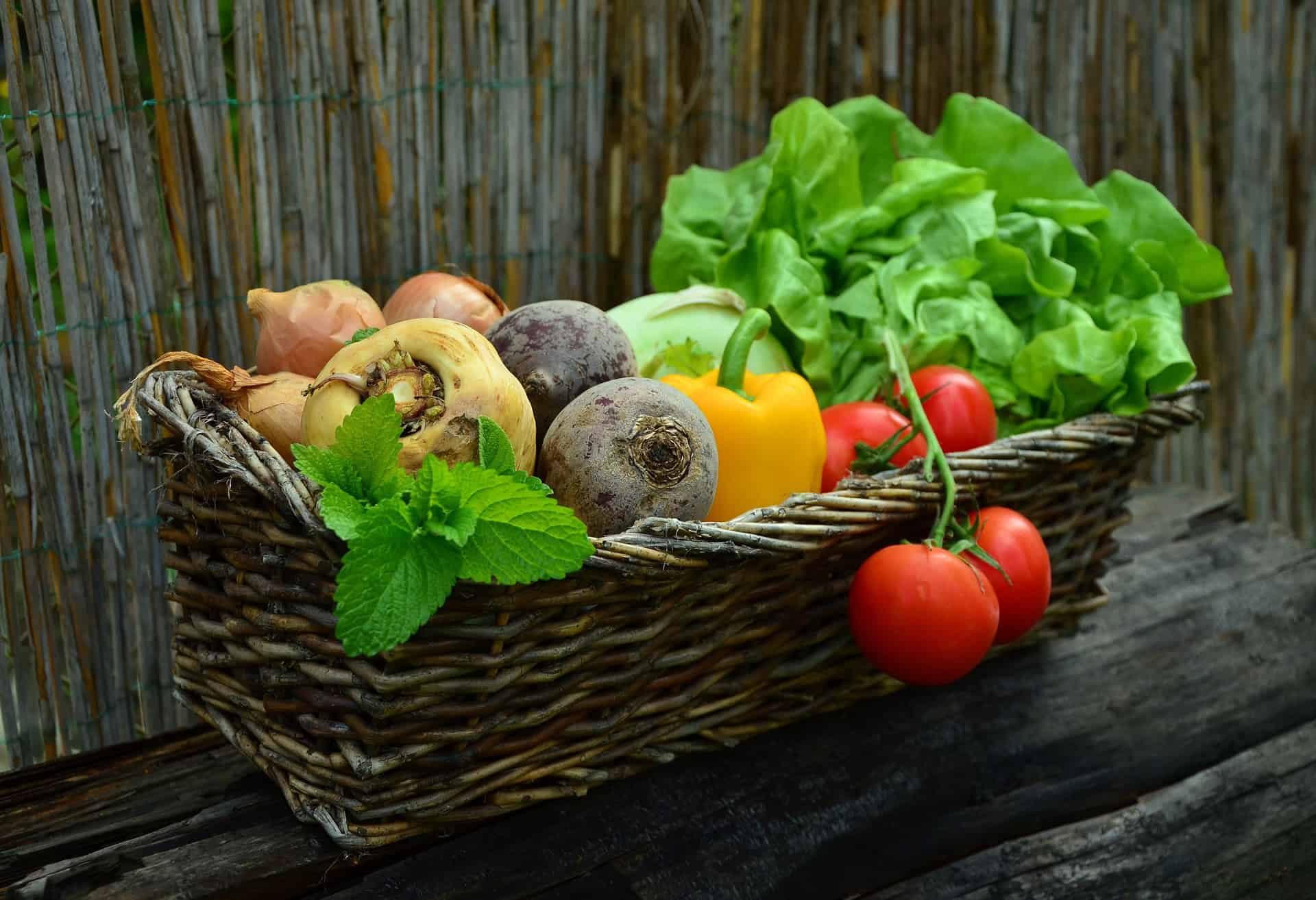 Preserving Fresh Produce: Ancient Techniques for Long-Term Storage